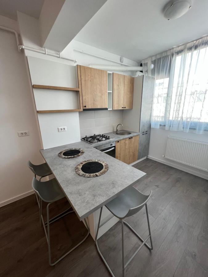 Sunny Apartments Suceava 64 المظهر الخارجي الصورة