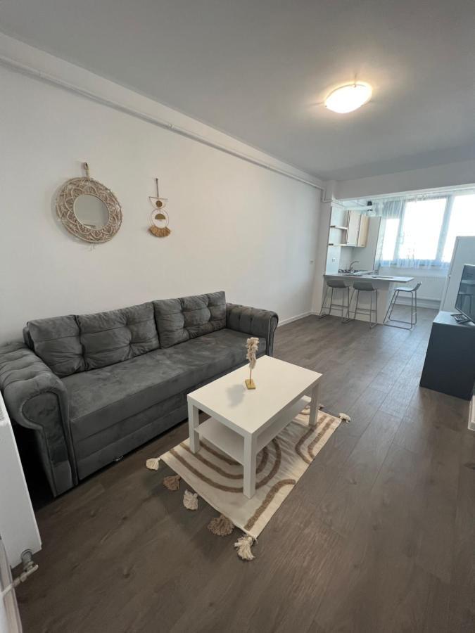 Sunny Apartments Suceava 64 المظهر الخارجي الصورة